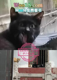 短篇小说言情小故事