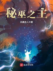 秘巫之主职业设定